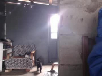 sexsy_bunny webcam model stream image