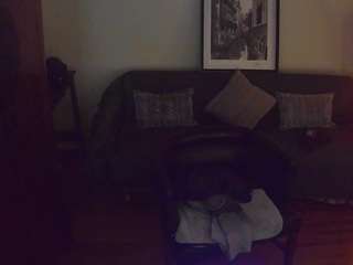 parlortrix webcam model stream image