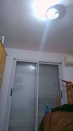 Rebecageisha webcam model stream image