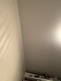 Frosl webcam model stream image