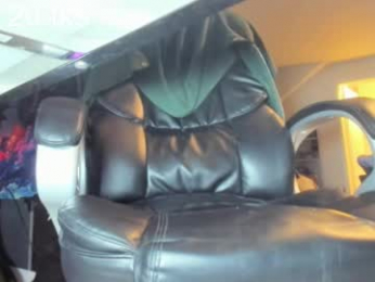 thegonzodr webcam model stream image