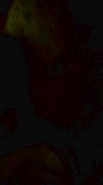 Reichel1996 webcam model stream image