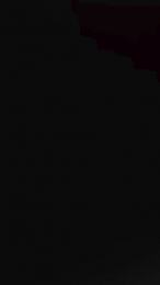Primpremellex webcam model stream image
