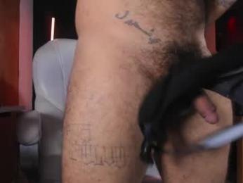 kingbear777 webcam model stream image