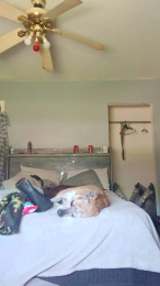 Ladye520 webcam model stream image