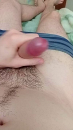 Nanogui webcam model stream image