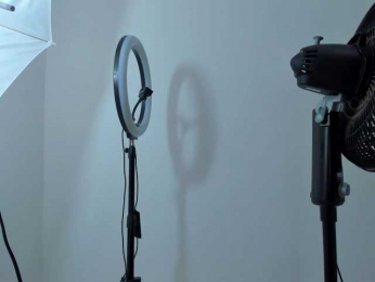 gatica-cat webcam model stream image