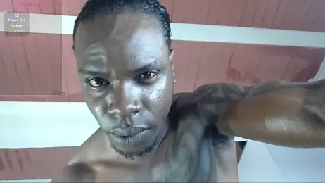 MrByronStallion webcam model stream image