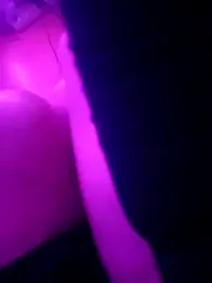 Brandi_Braulio webcam model stream image