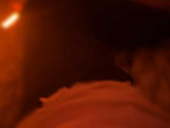 KOTAKATRUE webcam model stream image