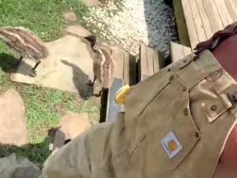 snacksmaster webcam model stream image