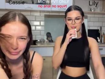 x_kai webcam model stream image