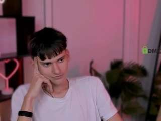 mister-vice webcam model stream image