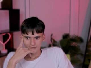 mister-vice webcam model stream image