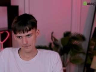 mister-vice webcam model stream image