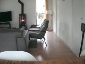 woodwurm webcam model stream image