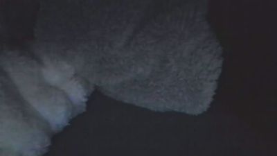 eshot2punkt0 webcam model stream image