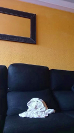 Prendio9999 webcam model stream image
