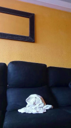 Prendio9999 webcam model stream image