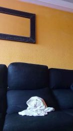 Prendio9999 webcam model stream image