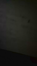 Jade2049 webcam model stream image