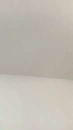 LuxeBC webcam model stream image