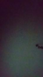 Maxxxleg webcam model stream image