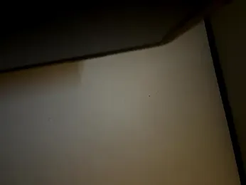 Brooke-lynn webcam model stream image