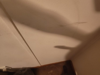 SteeleSarcastic webcam model stream image