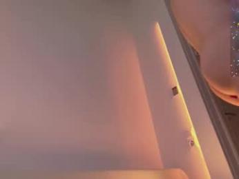 sinntouch webcam model stream image