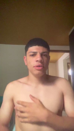 Brito_2004_ webcam model stream image
