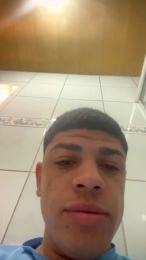 Brito_2004_ webcam model stream image