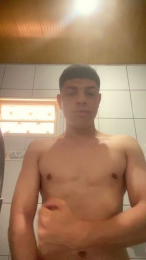 Brito_2004_ webcam model stream image