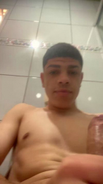 Brito_2004_ webcam model stream image