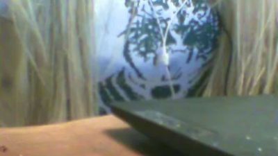 venerebianca webcam model stream image