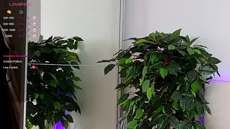 Jane_Meys webcam model stream image