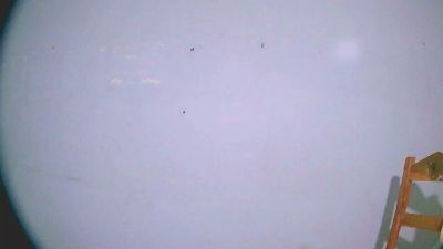 Natty_nomeny webcam model stream image