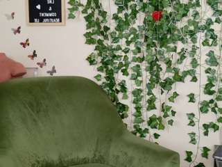 butterflybooty webcam model stream image