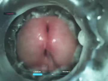 xoxowtf webcam model stream image