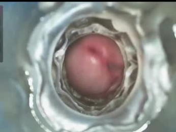 xoxowtf webcam model stream image