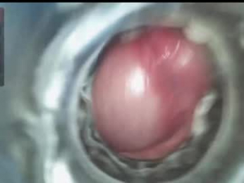 xoxowtf webcam model stream image