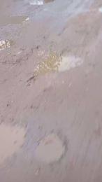 RUSbiNN webcam model stream image