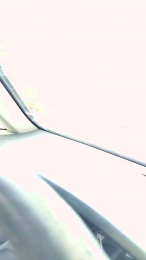 Cricha webcam model stream image