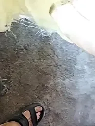 K-27 webcam model stream image