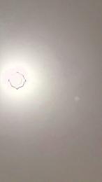 japanesewasabi webcam model stream image