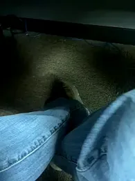 hintly webcam model stream image