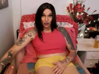 transagera webcam model stream image