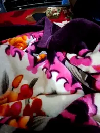 Cute_palak001 webcam model stream image