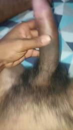 Negocavalo webcam model stream image