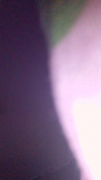 lucimaralu82 webcam model stream image